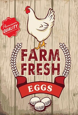 Ontrada Holzschild 20x30cm Huhn Farm Fresh Eggs Premium Holz Schild