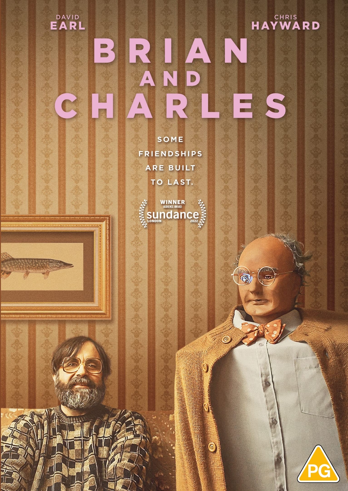 Brian and Charles (DVD) David Earl Chris Hayward Louise Brealey