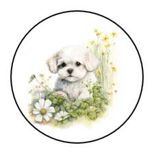30 MALTESE PUPPY ENVELOPE SEALS STICKERS LABELS TAGS 1.5" ROUND DOG FLORAL
