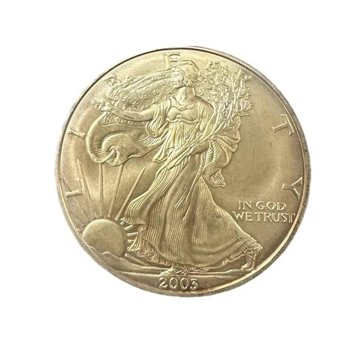 One Dollar 2003 American Silver Eagle 1 oz. .999 Fine Silver Coin "Toned" L#L100