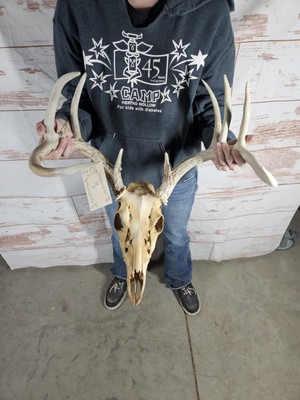 #ad #ad Wild 10 Point Whitetail Deer Antler Rack Horn Skull European Mount Man Cave 133quot; $129.00