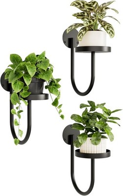 3Pcs Indoor Wall Plant Shelves,Space-Saving Wall-Mounted Versatile Plant Display Rack Perfect Suitable For Succulents Or Herbs,Black 6.7 X 5.5 X 10.1