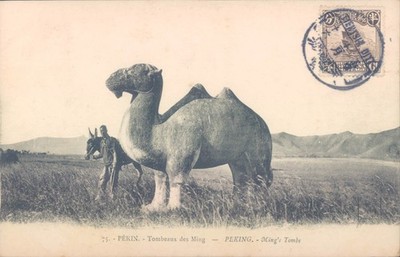 CHINA Peking Mings tombs camel statue 1910s PC - Tientsin cancell.