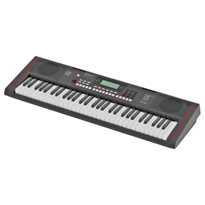 Roland E-X10 Electronic Arranger Keyboard Easy Operation 61 Keys