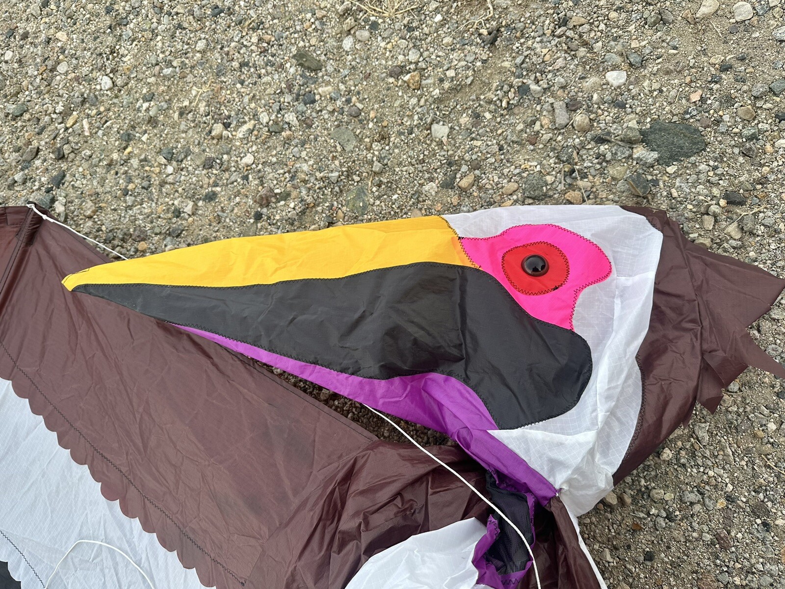 Joel K. Scholz Percy Pelican Signature Series Kite From Go fly A Kite