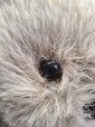 Bild 3 von 16