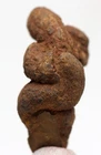 COPROLITE FOSSIL Poop Specimen Fossilized Turtle Dung Miocene WASHINGTON