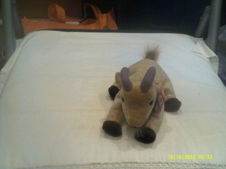 Vtg. Ty Beanie Baby Goatee the Goat DOB 11/4/1998 org tags