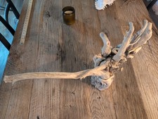 Driftwood So Cal CA Beach Ocean Wood Sculpture Art Landscape Decor Many Angles