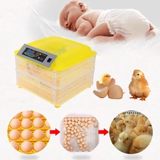 Small Automatic Chick Farm Incubation Equipment Automatic Temperature Control-