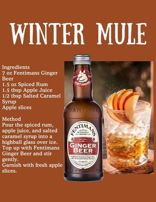 Ginger Beer Case of  (4) by Fentimans