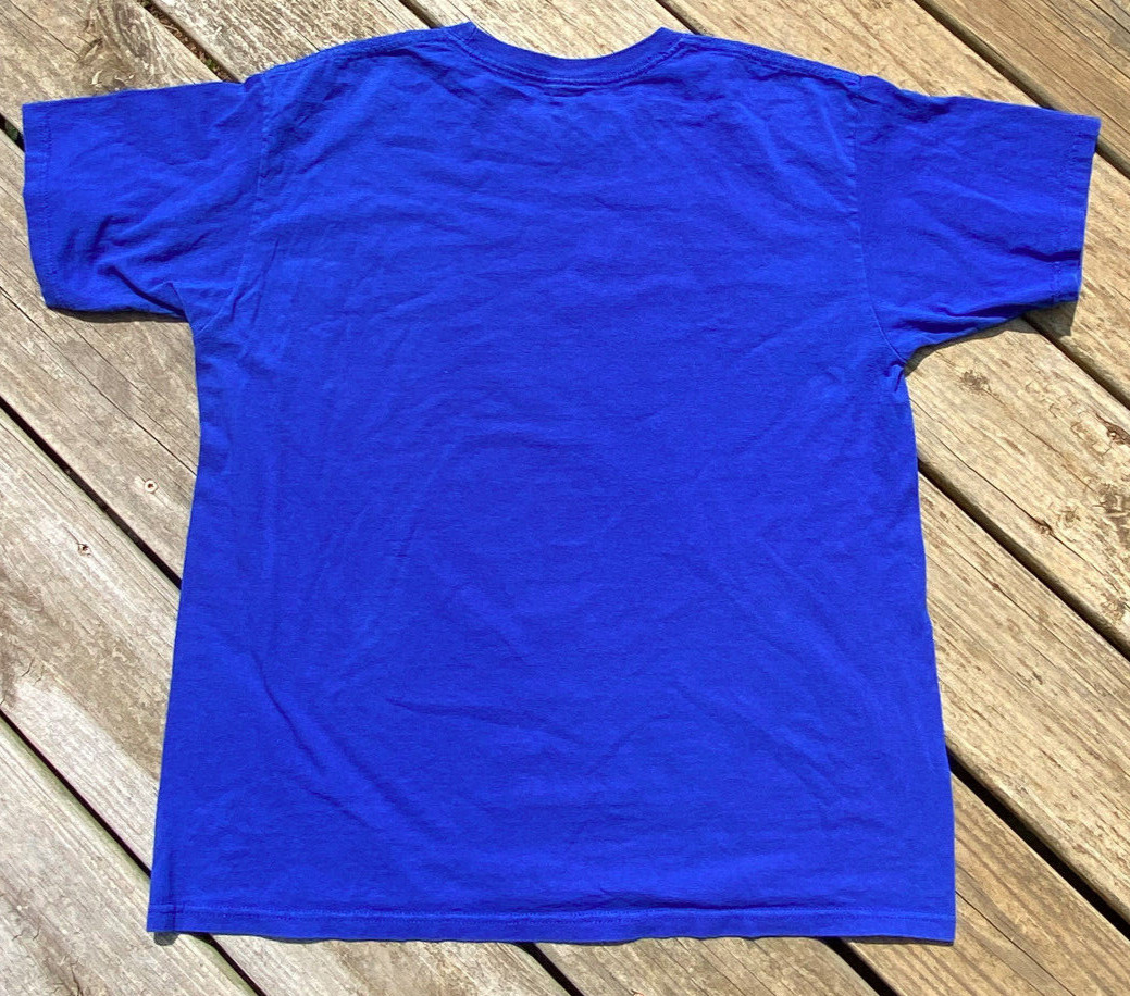 Turtle Puerto Progreso Mexico Multi Colored Lifte… - image 2