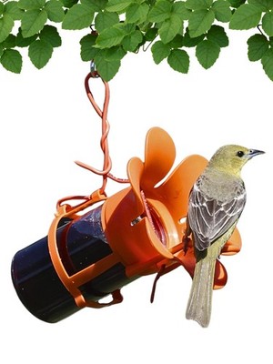 Jelly Bird Feeder, Oriole Feeder, Easy to Fill with Jelly or Jam, Plastic Jar In