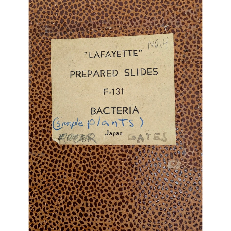 Lote de 3 juegos de diapositivas de microscopio preparado para Lafayette bacterias plancton pequeños animales Foto 3 de 4