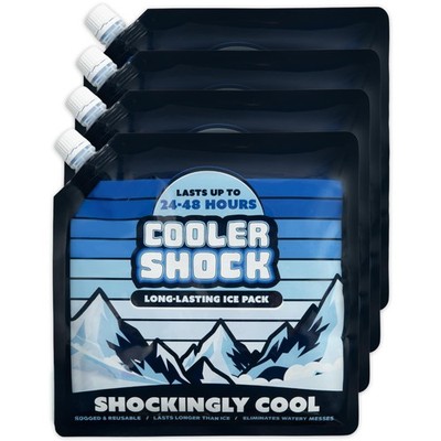 4 Mid-Size Cooler Freeze Packs 10x10 inch Screw All Purpose Size 4-Pack, Blue 