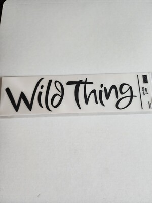 Karen Foster Rub-Ons Transfer  - Word WILD THING Kids Children RETIRED NEW 27