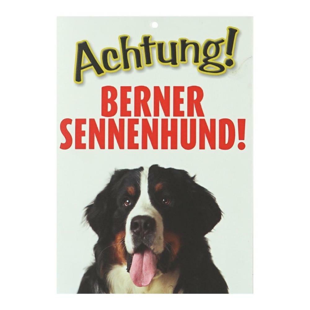 Bild 13 von 15