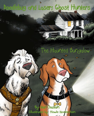 Doodlebug and Laser; Ghost Hunters: The Haunted Bungalow By Howie Noeldechen ...
