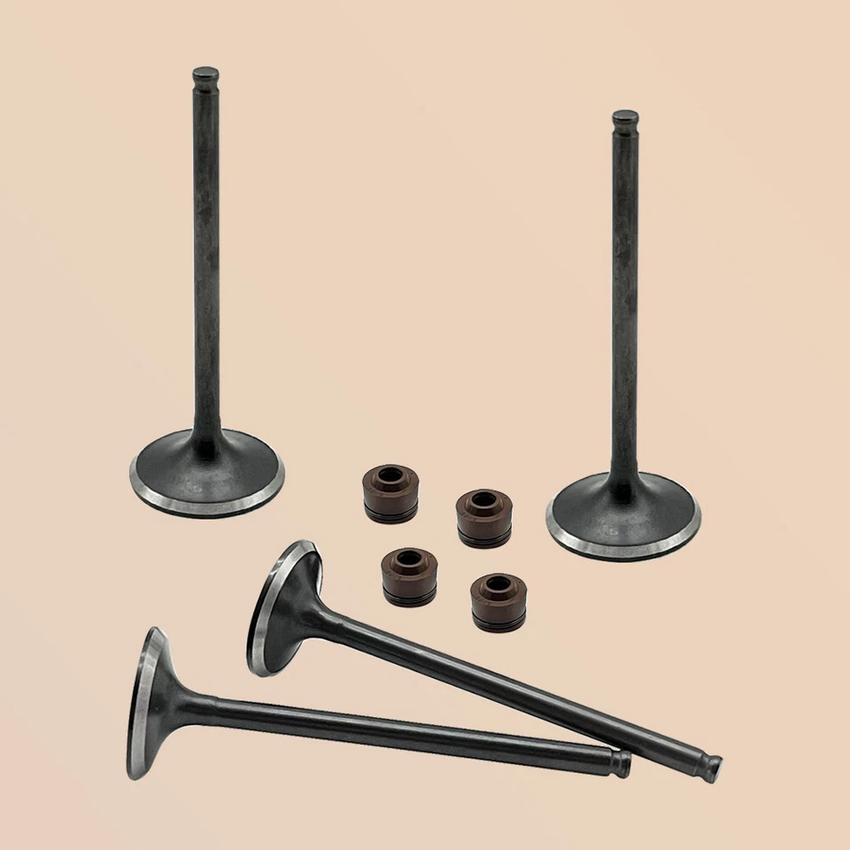 Kit de válvula de admisión y válvula de escape para Honda CRF250X 2004-2017 CRF250R 2004-2007 Foto 3 de 4