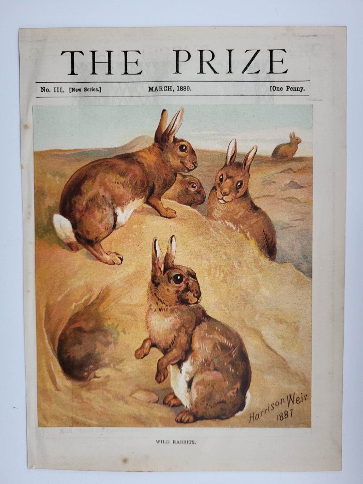 Old Vintage Antique Print The Prize 1889 No.3 March One Penny Wild ...