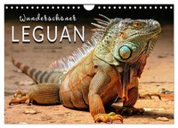 "Calendar 2027 · US Version · Beautiful Iguana (Wall Calendar 2027 12\" × 8\" Lands"