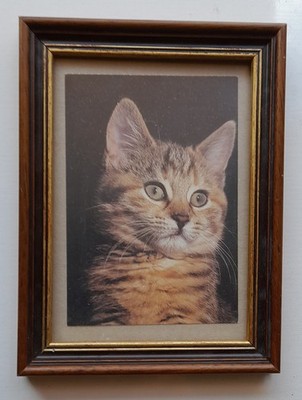 Bilder Rahmen  13 x 18 cm.  Preis reduziert