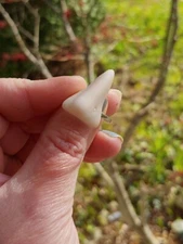 Fake Nose Finger Ring with Nose Stud - Gag Gift - Teenagers AFV - Body Parts