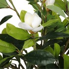 Foto 2 di 4