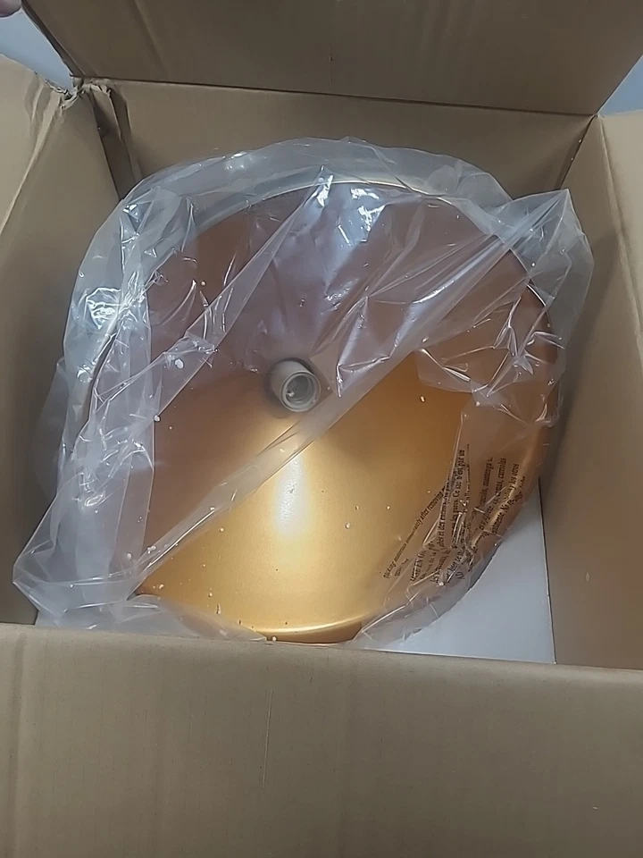 Livex Lighting 40950-91 Geneva montaje semi-al ras níquel cepillado **NUEVO** Foto 4 de 4