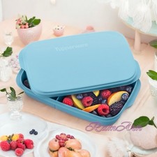 Tupperware Eco+ Snackbox Brotdose Brotbox Brotzeit mit Unterteilung Lunchdose