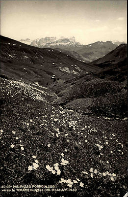 Dal Passo Pordoi Italien s/w AK ~1950/60 verso Tofane e Col di Lana Panorama