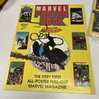 Marvel Poster Book Amazing Spider-Man (1991, Marvel) Pull-Out Magazine