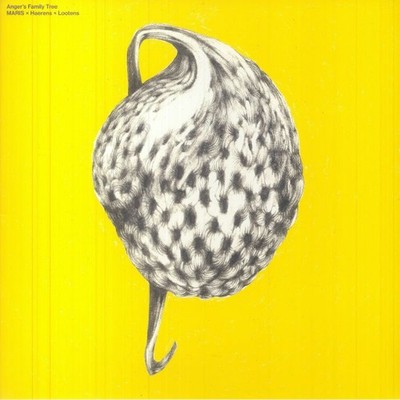 MARIS/ASTRID HAERENS/JASMIJN LOOTENS - Anger's Family Tree - Vinyl (LP)