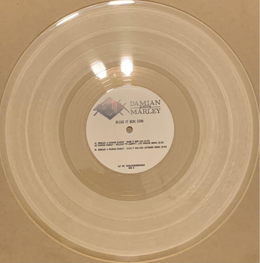 Skrillex Damian Marley Make It Bun Dem Dubstep Vinyl Record