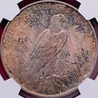 NGC MS-65! 1924 PEACE DOLLAR DRAMATIC REVERSE TONING!