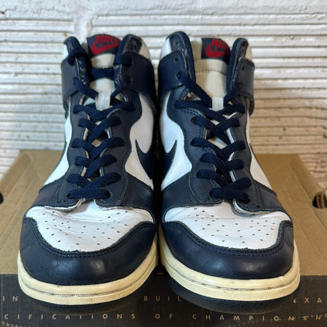 Nike Dunk High USA (2000) Sz 10 | eBay