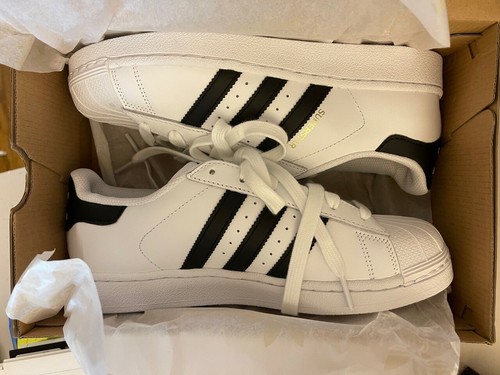 cheap shoreline converse