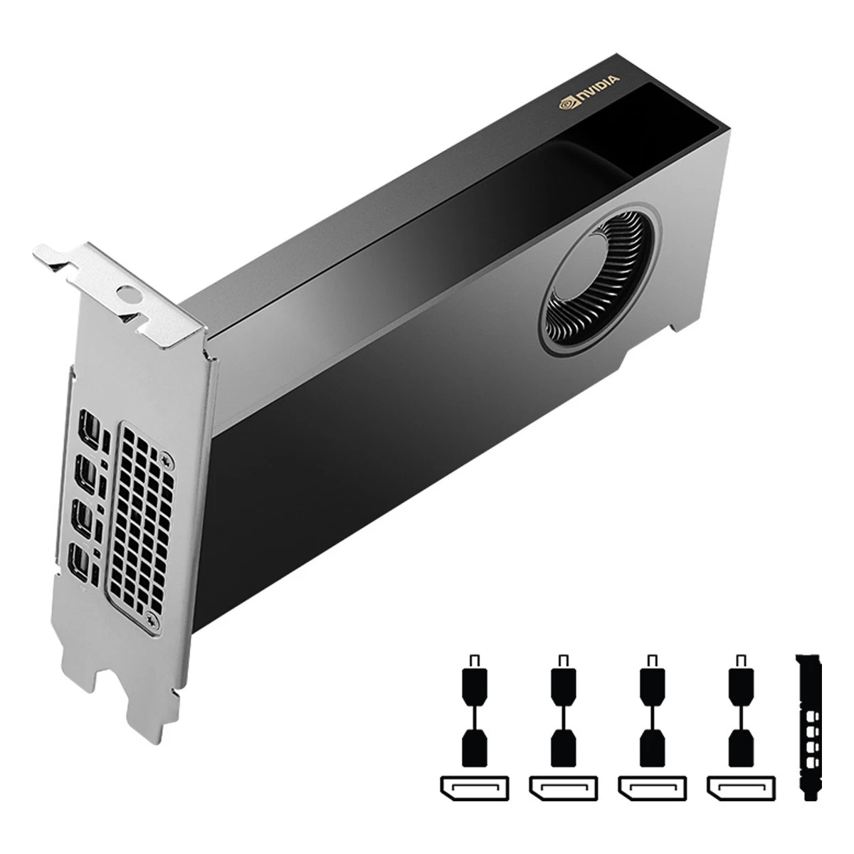 PNY NVIDIA Quadro RTX 2000 ADA 16GB (VCNRTX2000ADA-PB) Grafikkarte