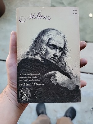 David Daiches Milton Poetry Original 1966 First Paperback Printed 
