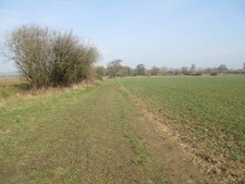 Photo A2 Path to Old Park Lane Dell Quay Public footpath 237 from Hook F c2016