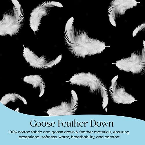  Cozy Dream Goose Down and Feather Comforter - Size 25% Down, 75% Feather Twin