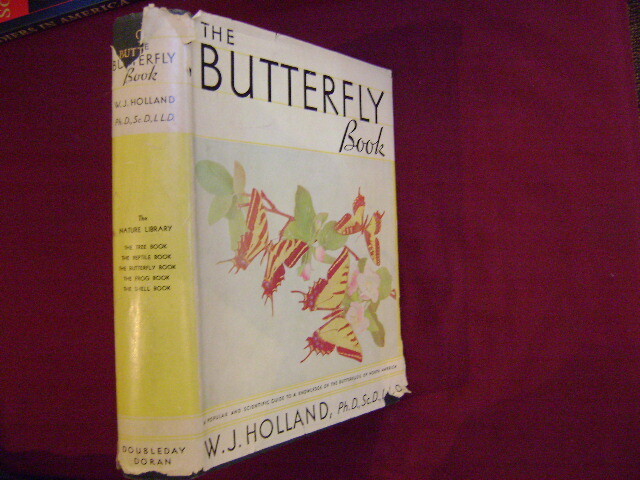 The International Butterfly Book 英語版 初版本 The International