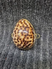 Leopard Genuine Cowrie Shell Brass Hinged Jewelry Trinket Pill Box Two’s Company