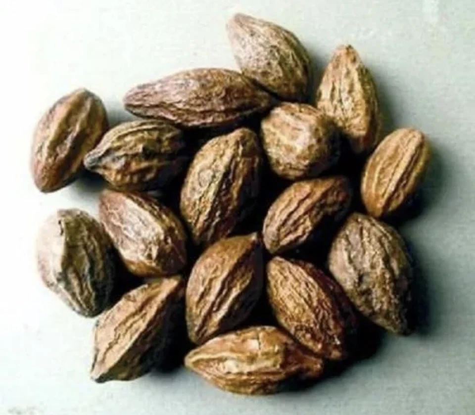 SPICE-COTTAGE Whole Harde Terminalia Chebula | Haritaki | Black Myrobalan Free UK P&P 25g-950g