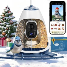 Smart Bird Feeder With Camera Solar Powered Solar Roof - New