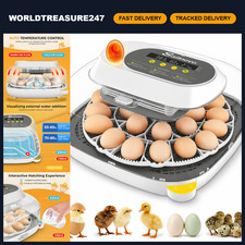 24 Egg Incubator with 4 Modes, Temperature Control  Humidity Display - Grey
