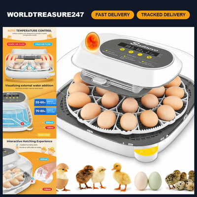 24 Egg Incubator with 4 Modes, Temperature Control & Humidity Display - Grey