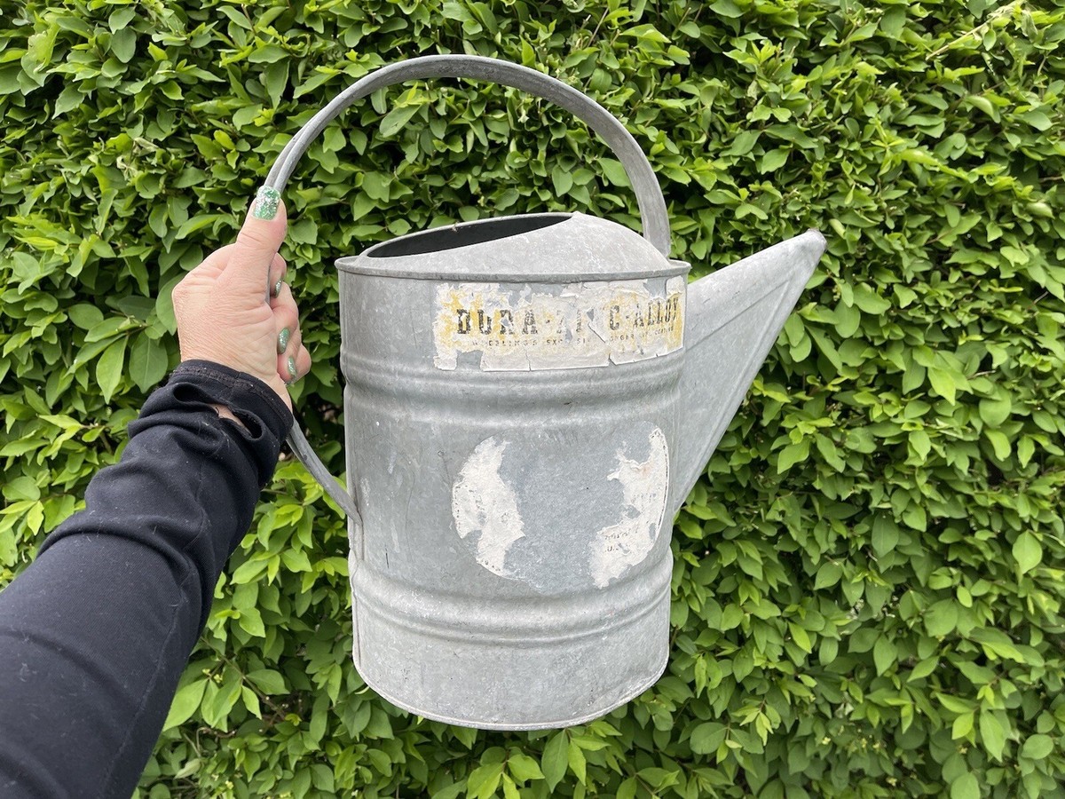 Vintage Galvanized Metal Watering Can Planter 18