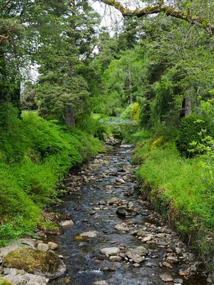 Foto 6x4 Banvie Burn Bailanloan The Banvie Burn Blick stromaufwärts von einem c2018