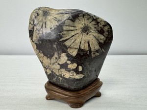Suiseki Stones | eBay